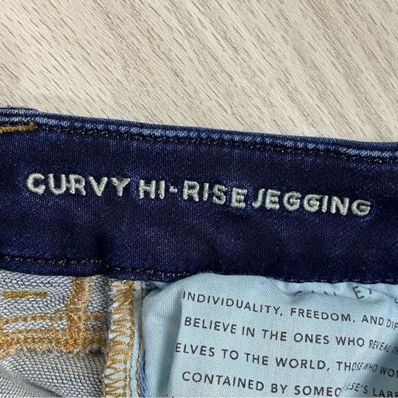 American Eagle | Distressed Curvy Hi Rise Jegging Size 4 (Extra Long) - Picture 9 of 10